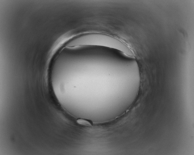 X0000116840296200912312100