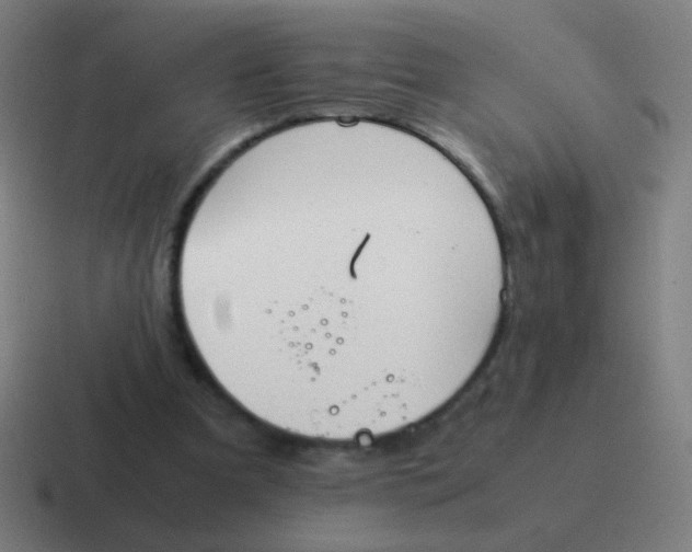 X0000116840297200912312100