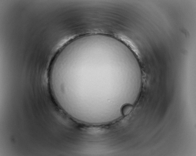 X0000116840298200912312100