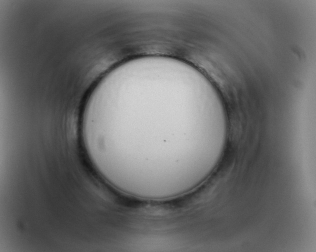 X0000116840299200912312100