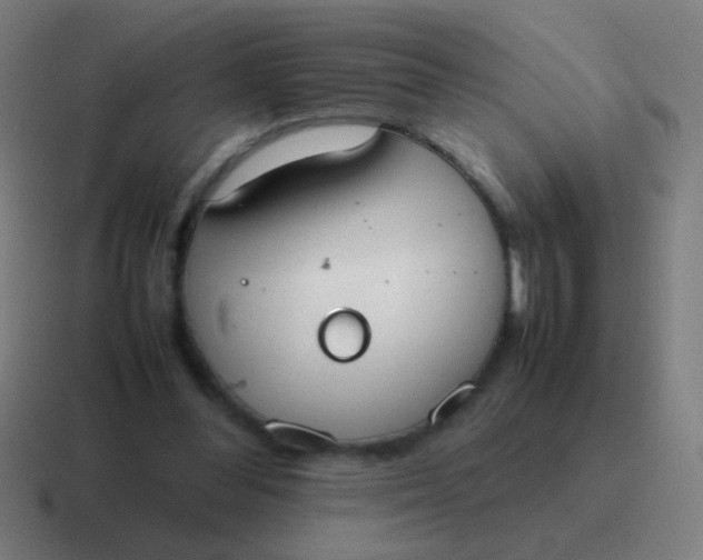 X0000116840300200912312100