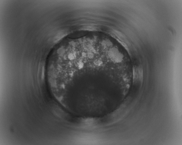 X0000116840301200912312100