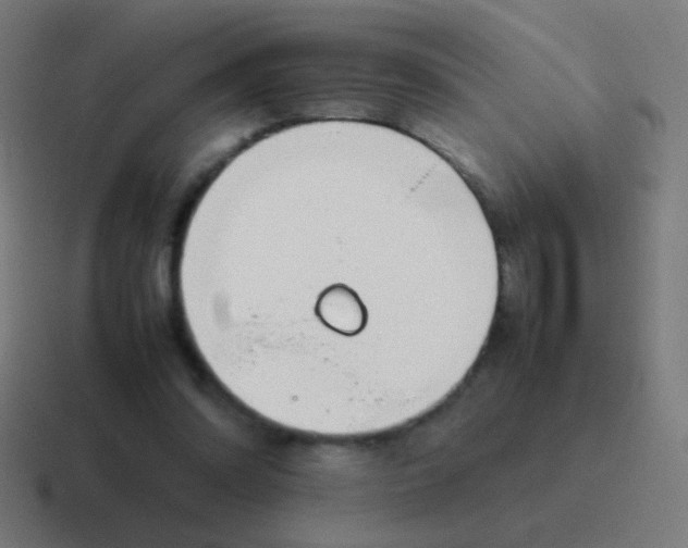 X0000116840302200912312100