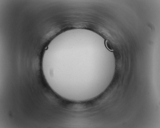 X0000116840303200912312100