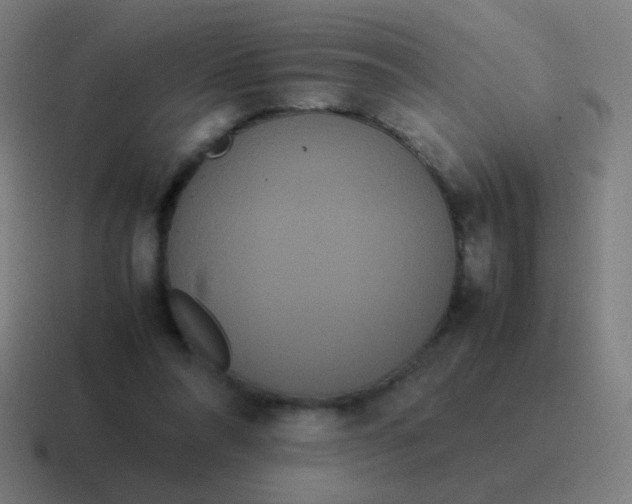 X0000116840304200912312100