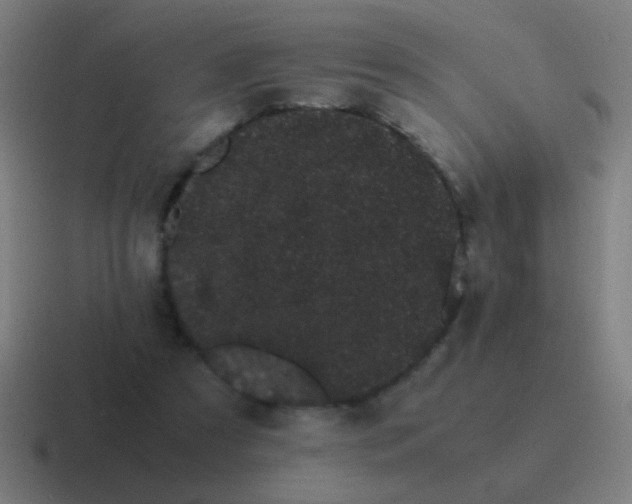 X0000116840305200912312100