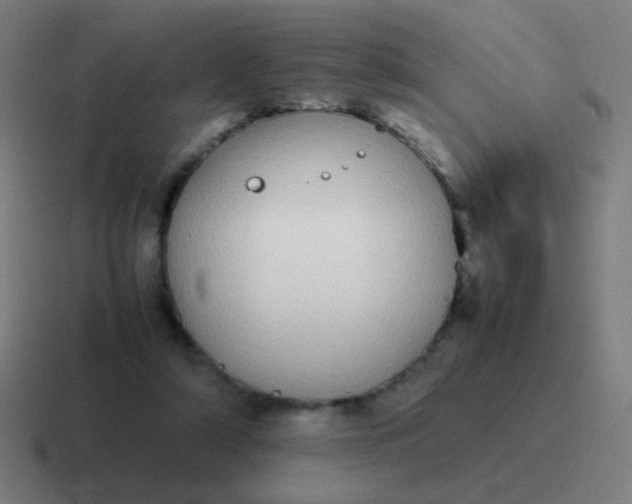 X0000116840306200912312100