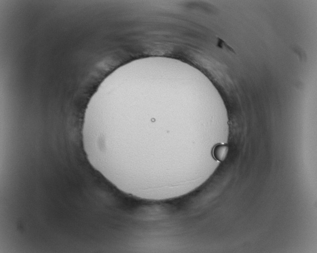 X0000116840307200912312100