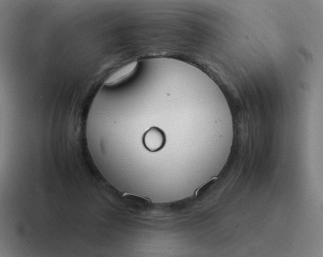 X0000116840308200912312100