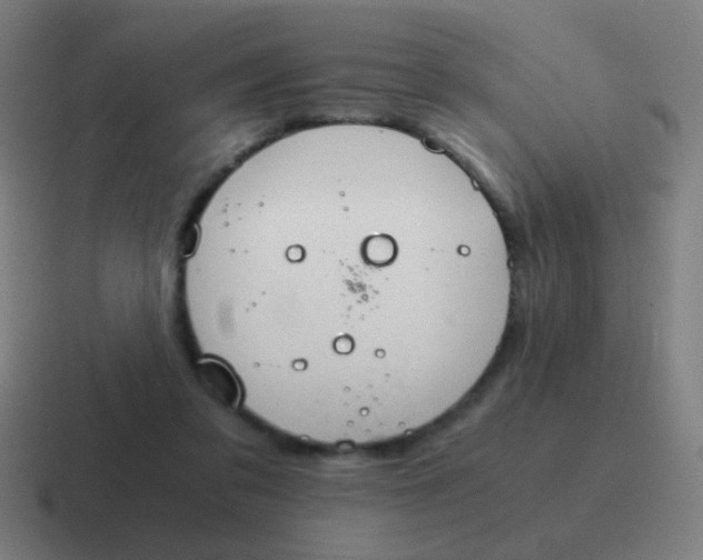 X0000116840309200912312100