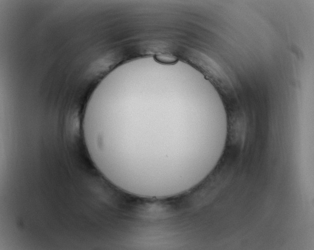 X0000116840310200912312100