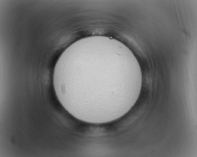 X0000116840311200912312100