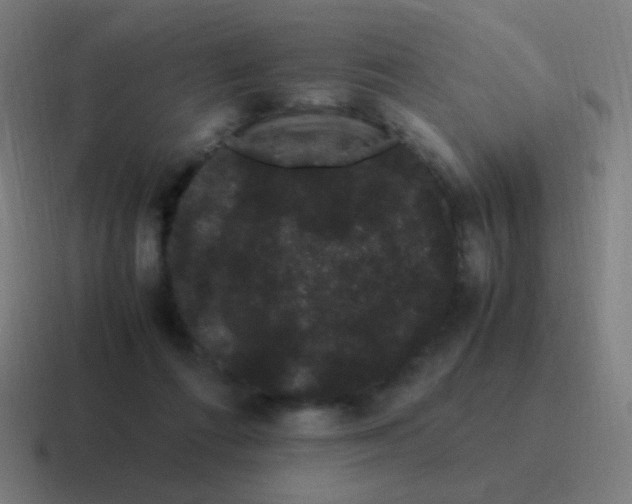 X0000116840312200912312100