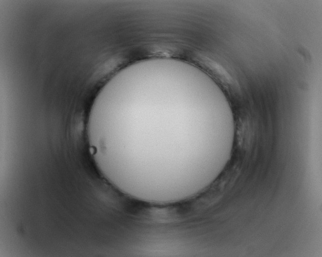 X0000116840314200912312100