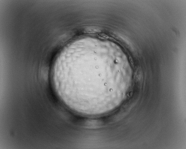 X0000116840315200912312100