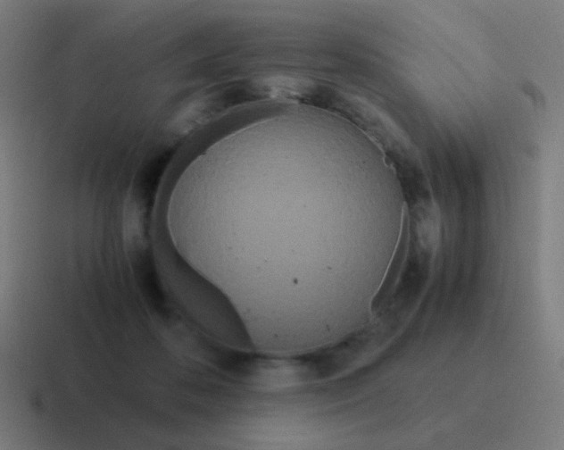 X0000116840316200912312100