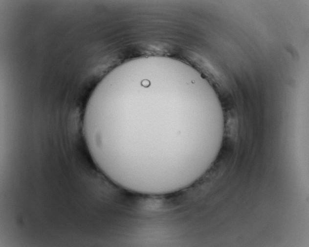 X0000116840318200912312100