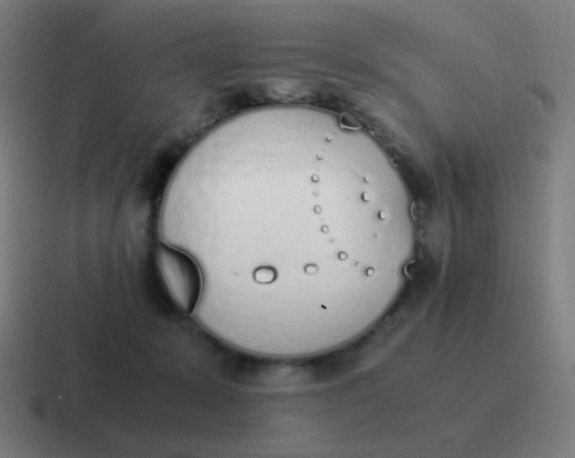 X0000116840319200912312100