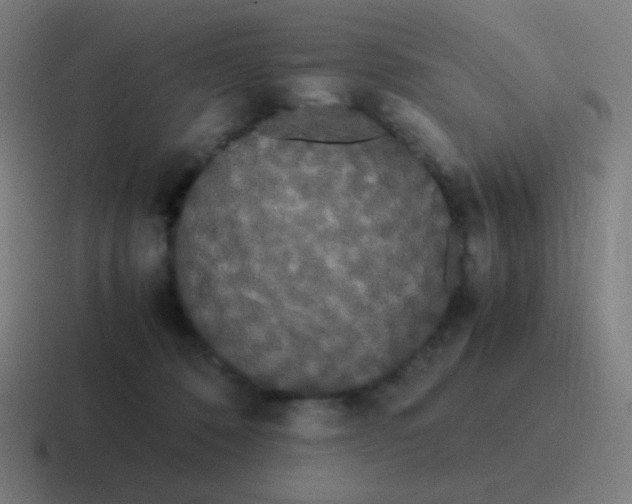 X0000116840320200912312100