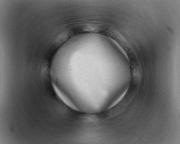 X0000116840322200912312100