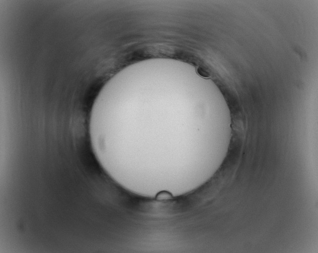 X0000116840323200912312100