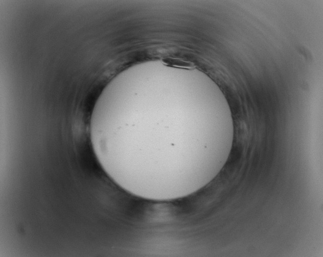 X0000116840324200912312100