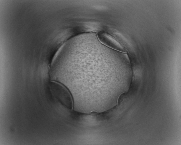 X0000116840325200912312100