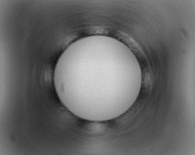 X0000116840326200912312100