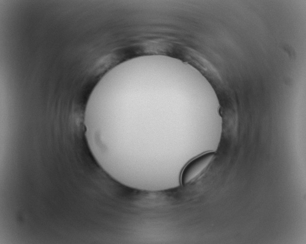 X0000116840329200912312059