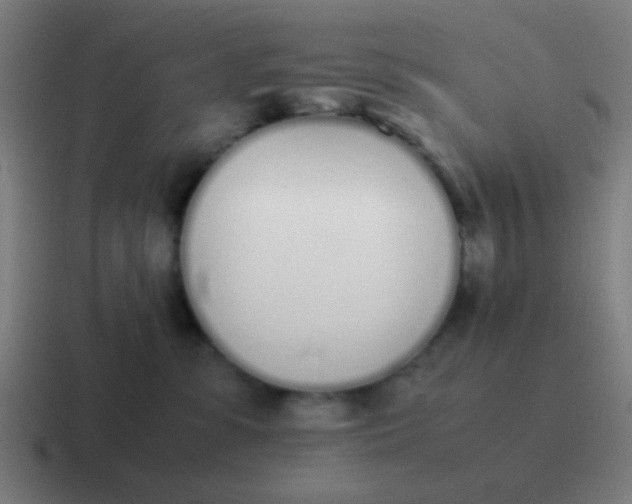 X0000116840331200912312059