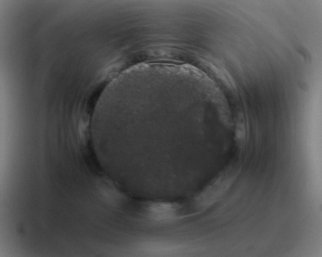 X0000116840332200912312059