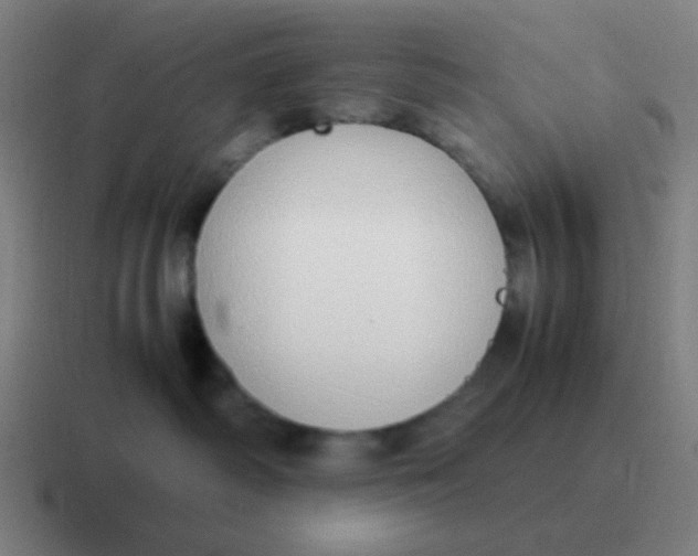 X0000116840334200912312059