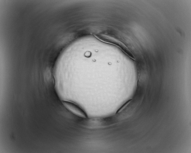 X0000116840335200912312059