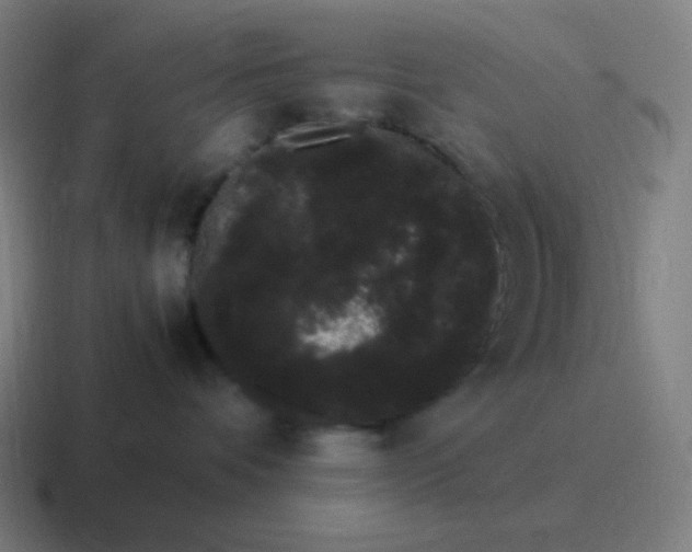 X0000116840336200912312059