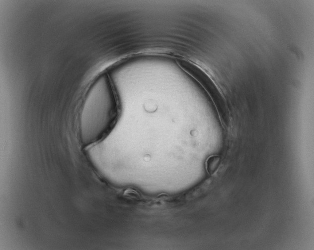 X0000116840337200912312059