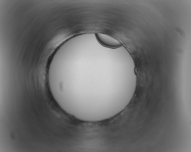 X0000116840338200912312059