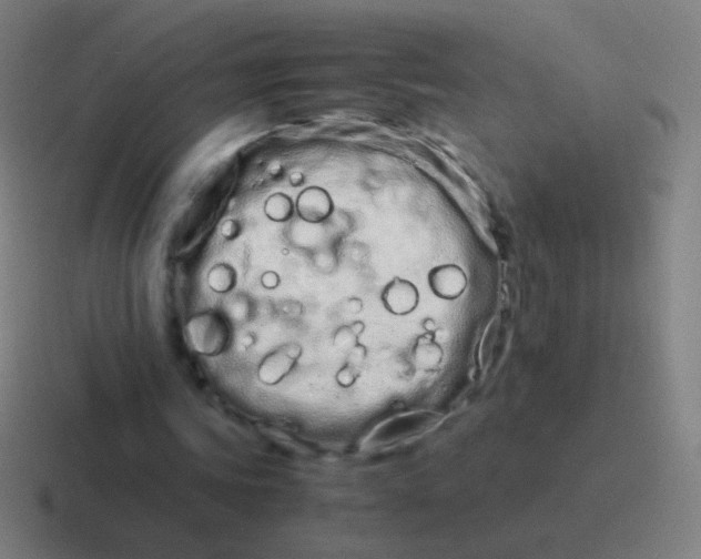 X0000116840339200912312059