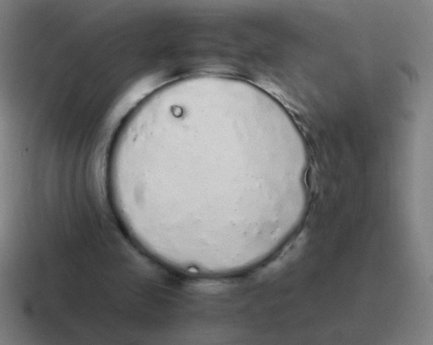 X0000116840341200912312059