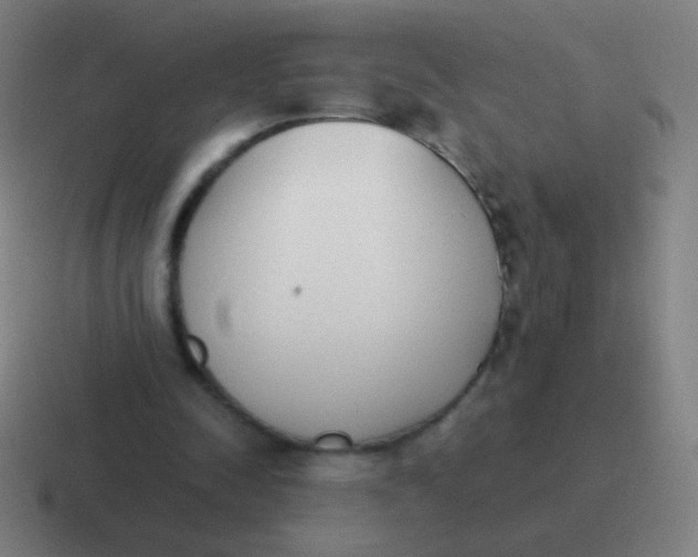 X0000116840342200912312059