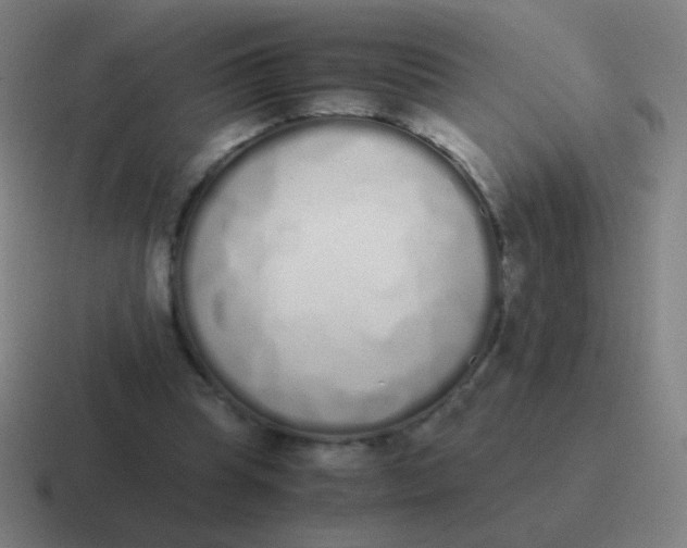 X0000116840345200912312059