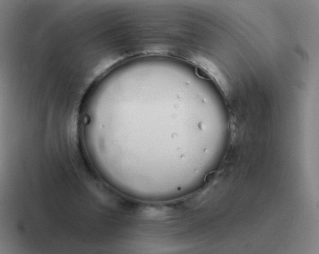 X0000116840346200912312059