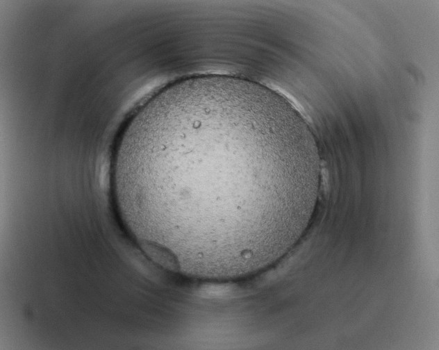 X0000116840350200912312059