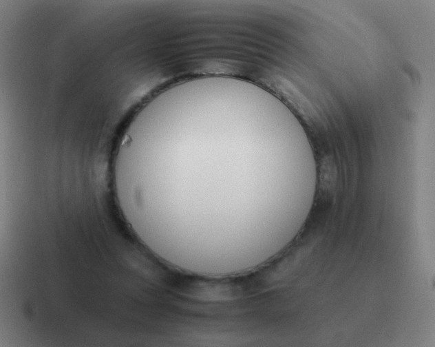 X0000116840351200912312059