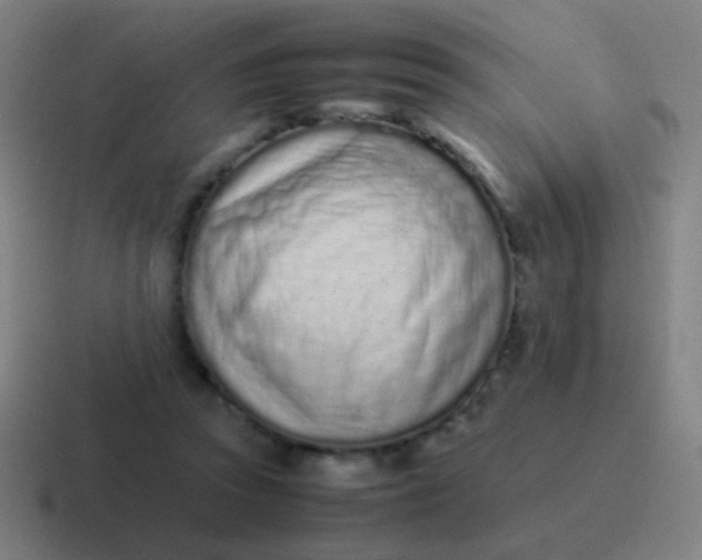 X0000116840353200912312059