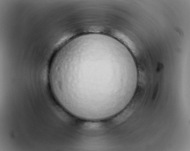 X0000116840354200912312059