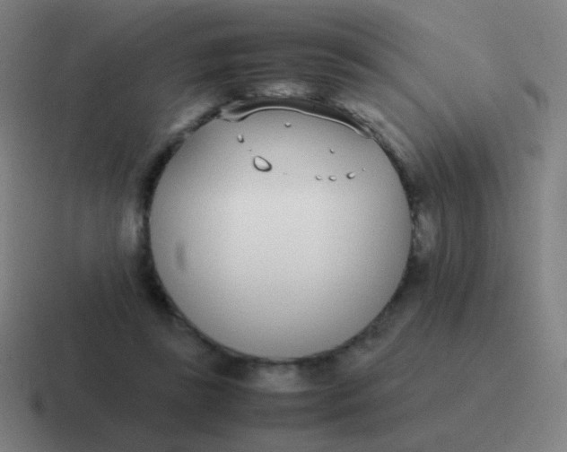 X0000116840355200912312059