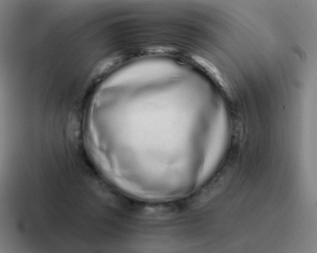 X0000116840357200912312059