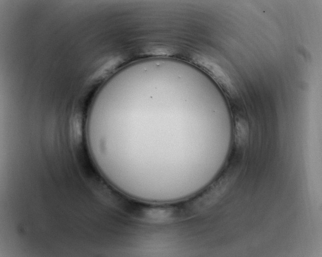 X0000116840358200912312059