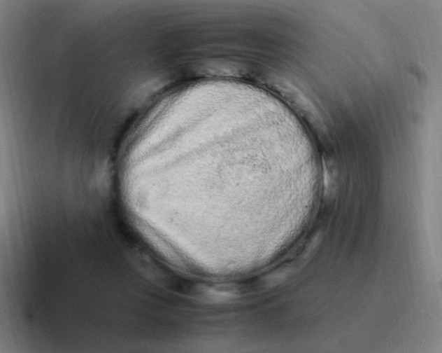 X0000116840359200912312059