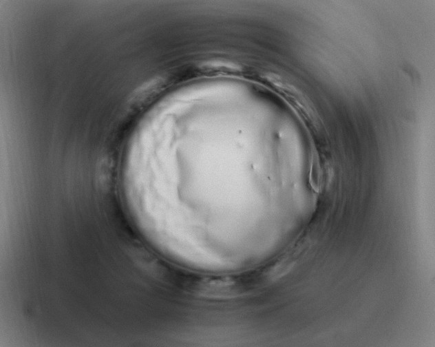 X0000116840361200912312059